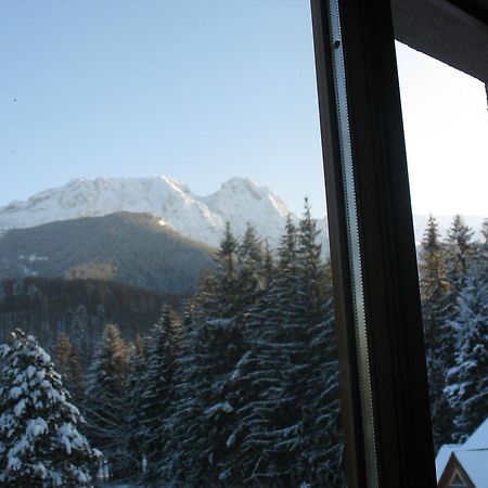 Willa Otulina Pod Giewontem Zakopane Dış mekan fotoğraf