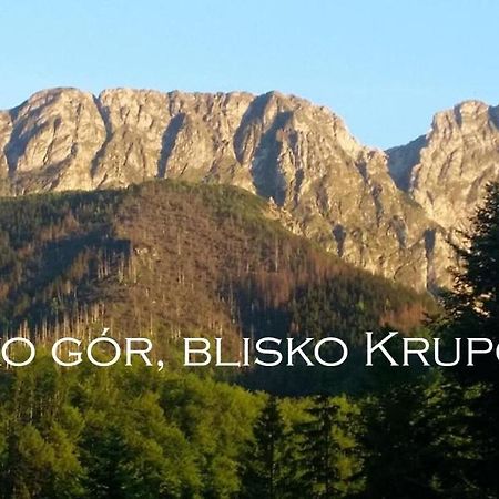 Willa Otulina Pod Giewontem Zakopane Dış mekan fotoğraf