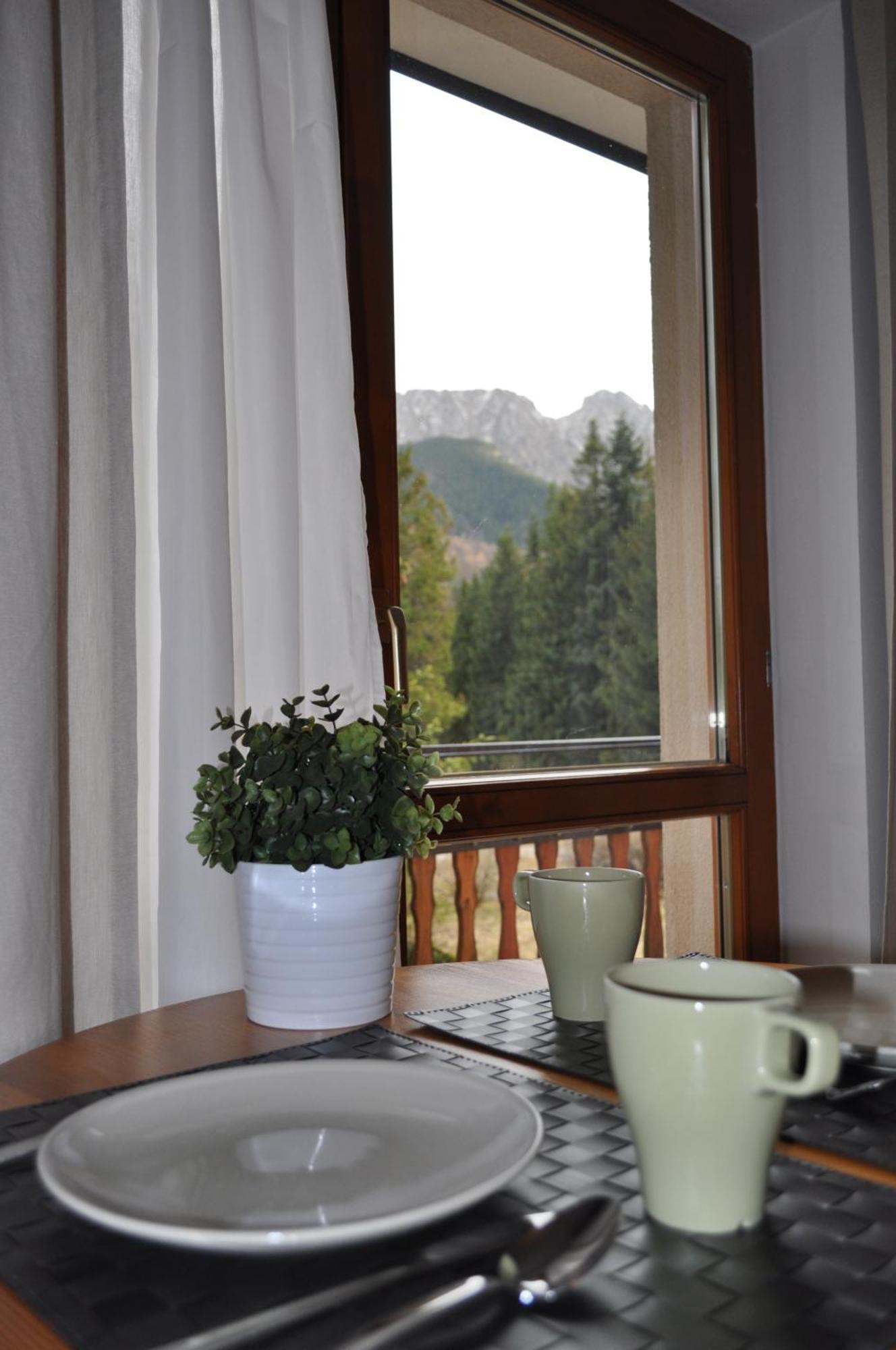 Willa Otulina Pod Giewontem Zakopane Dış mekan fotoğraf