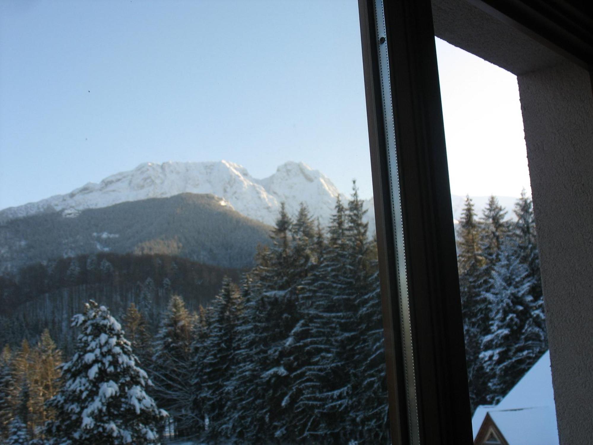 Willa Otulina Pod Giewontem Zakopane Dış mekan fotoğraf
