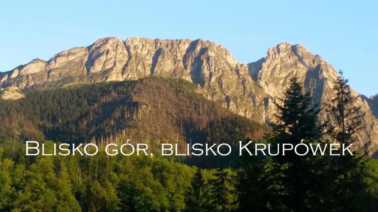 Willa Otulina Pod Giewontem Zakopane Dış mekan fotoğraf
