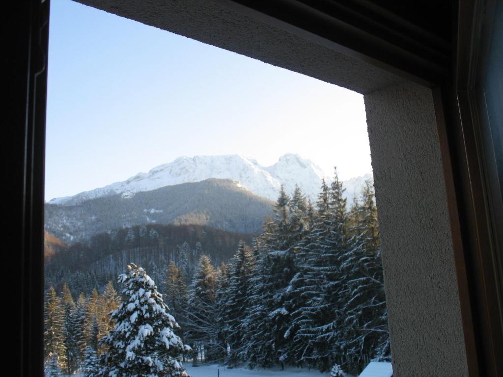 Willa Otulina Pod Giewontem Zakopane Oda fotoğraf