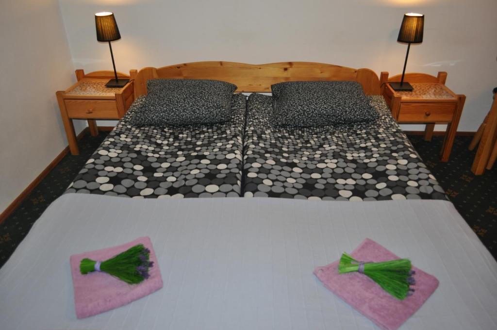 Willa Otulina Pod Giewontem Zakopane Oda fotoğraf