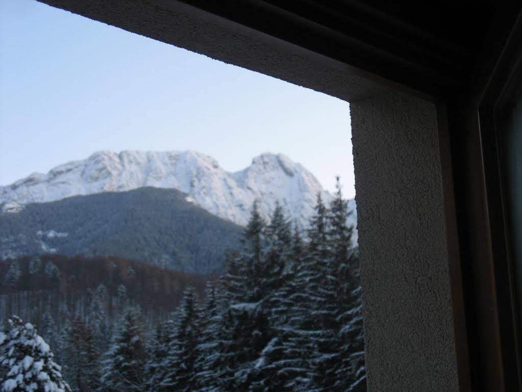Willa Otulina Pod Giewontem Zakopane Dış mekan fotoğraf